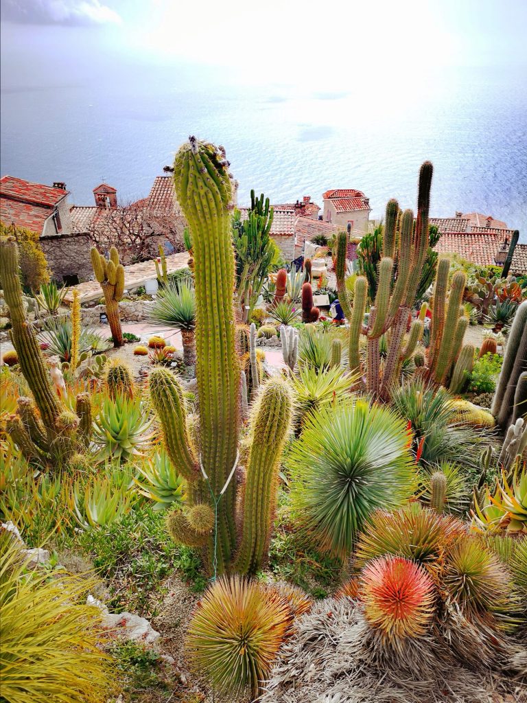 panorama dal giardino esotico di eze