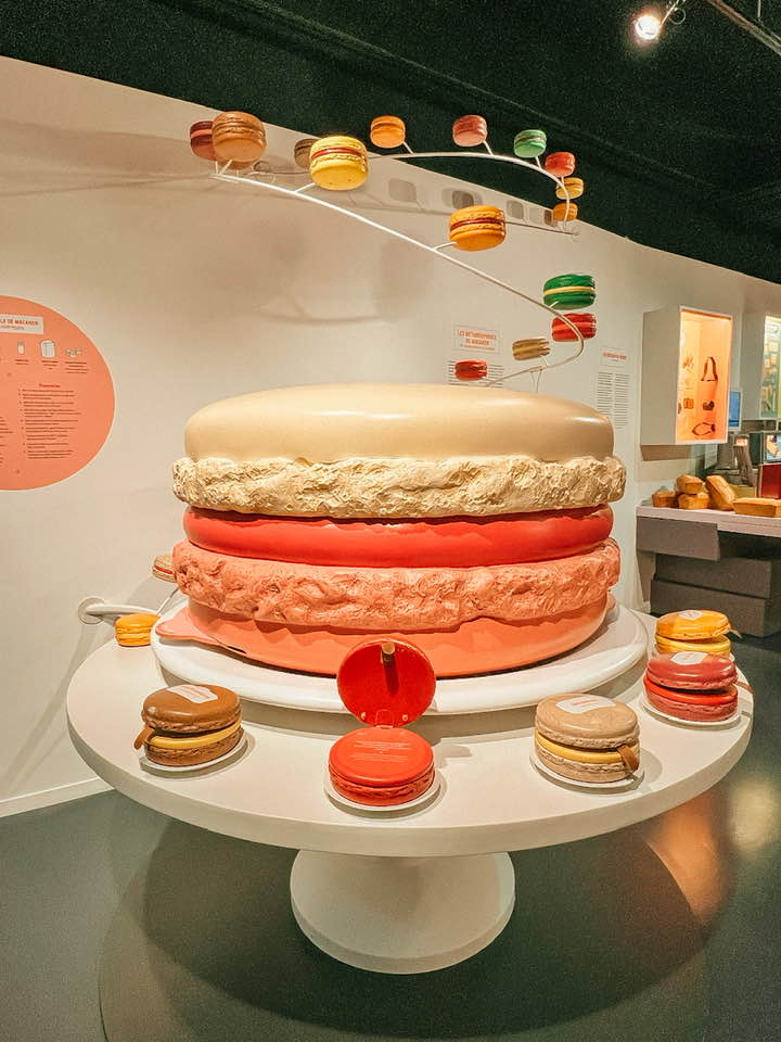 cite internationale de la gastronomie macaron