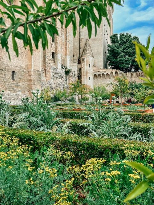 Palais des papes giardino2